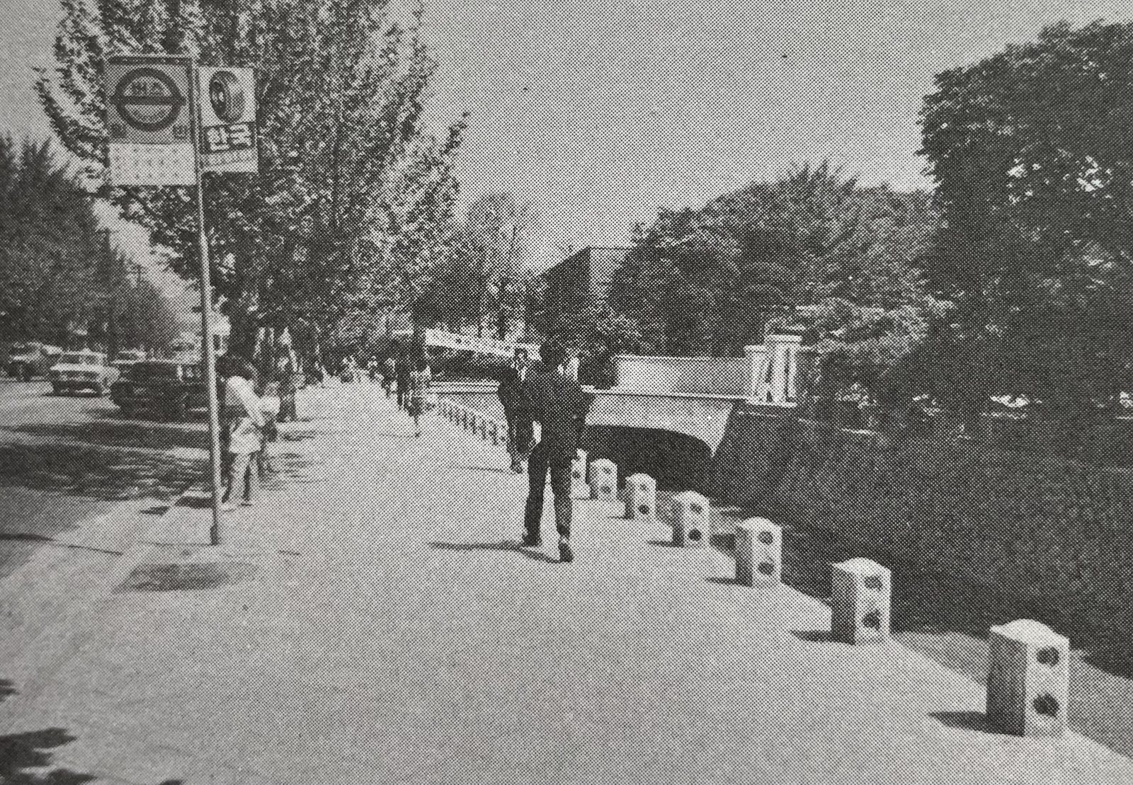 1971년 동숭동 서울대학교 입구. 버스 정류장 표지판과 가로수 길, 학교 쪽으로 걸어가는 사람.